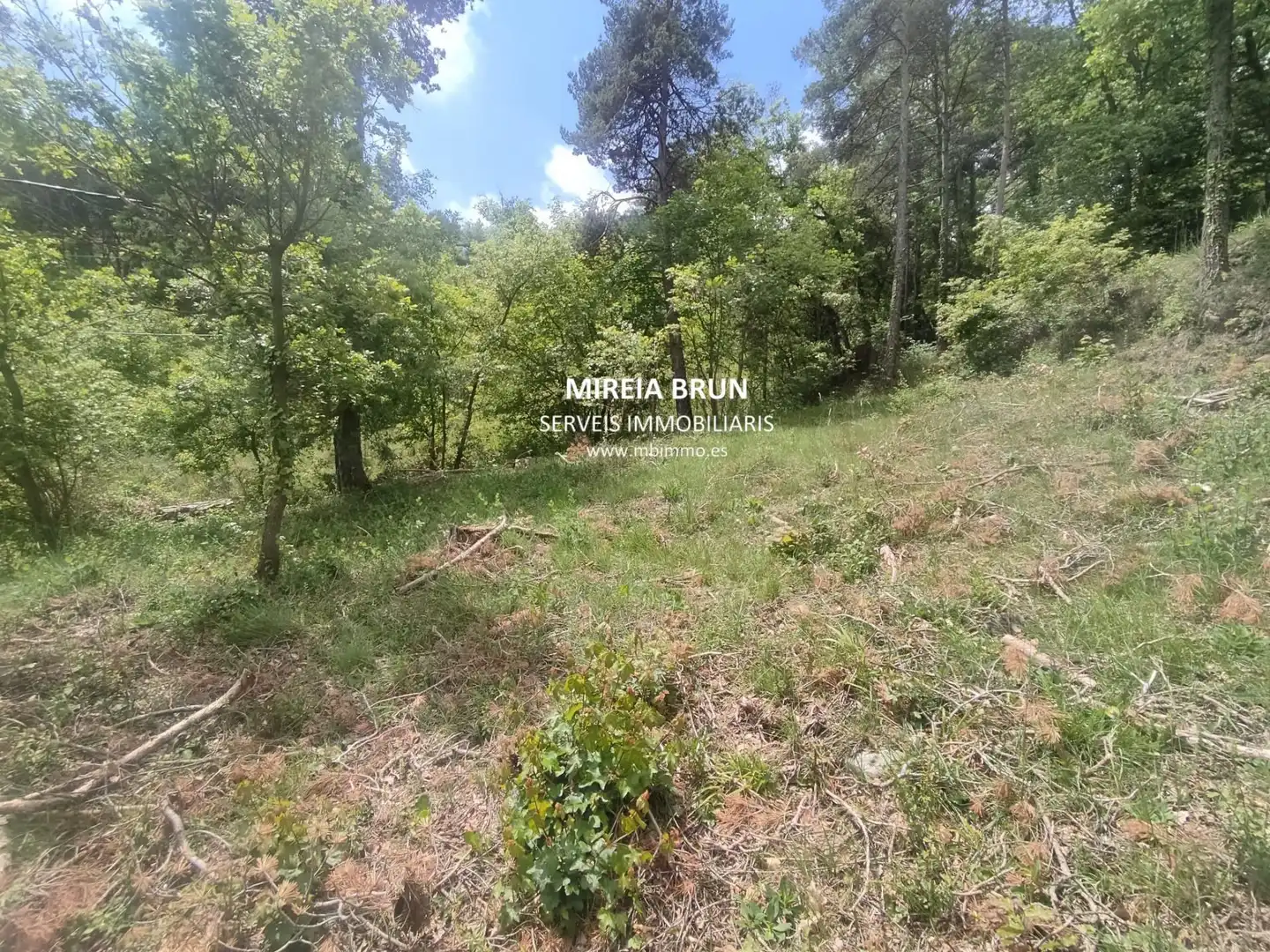 Residencial en venda en Muntanyola