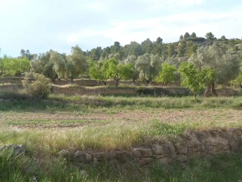 Country homes for sale in Valjunquera