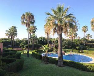 Garden of Single-family semi-detached to rent in Chiclana de la Frontera  with Private garden, Parquet flooring and Terrace