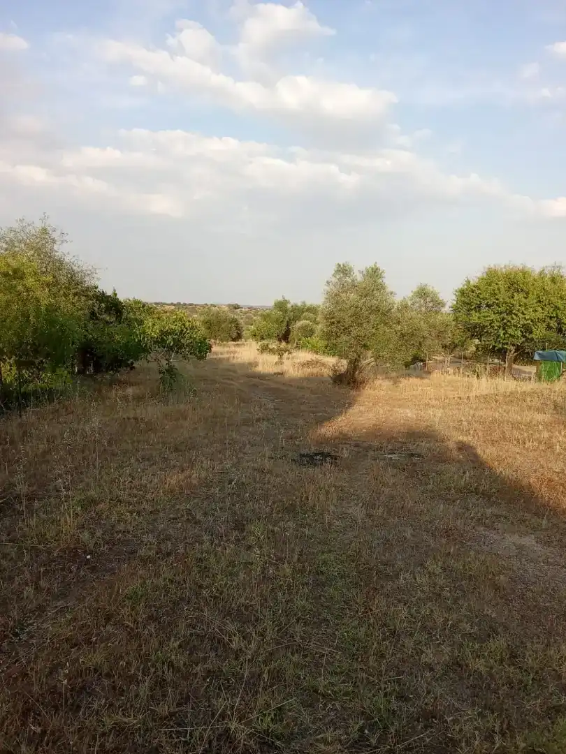 Finca rústica en venda en Arroyo de la Luz amb Jardí privat, Piscina i Moblat