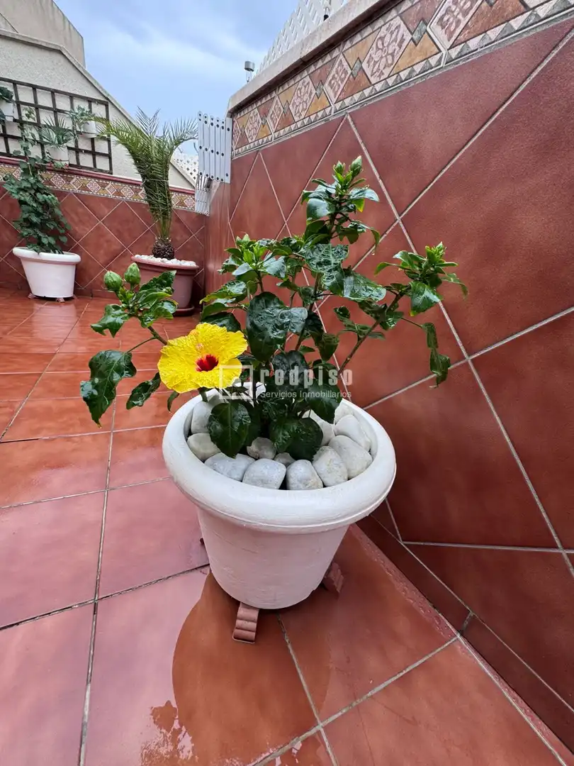 Attique avec piscine à vendre à de Dolores Ibarruri, imagen 29