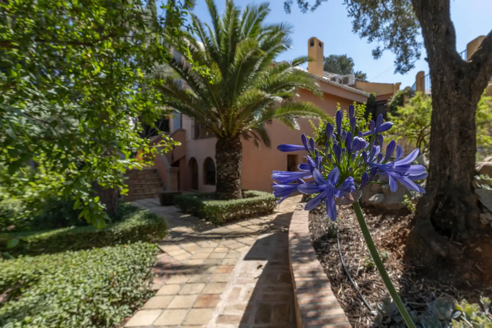 Chalet con jardín en venta en Calle Alemania 18, imagen 61