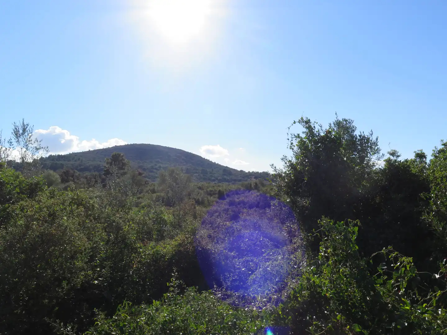 Rural land for sale in Godall, imagen 6