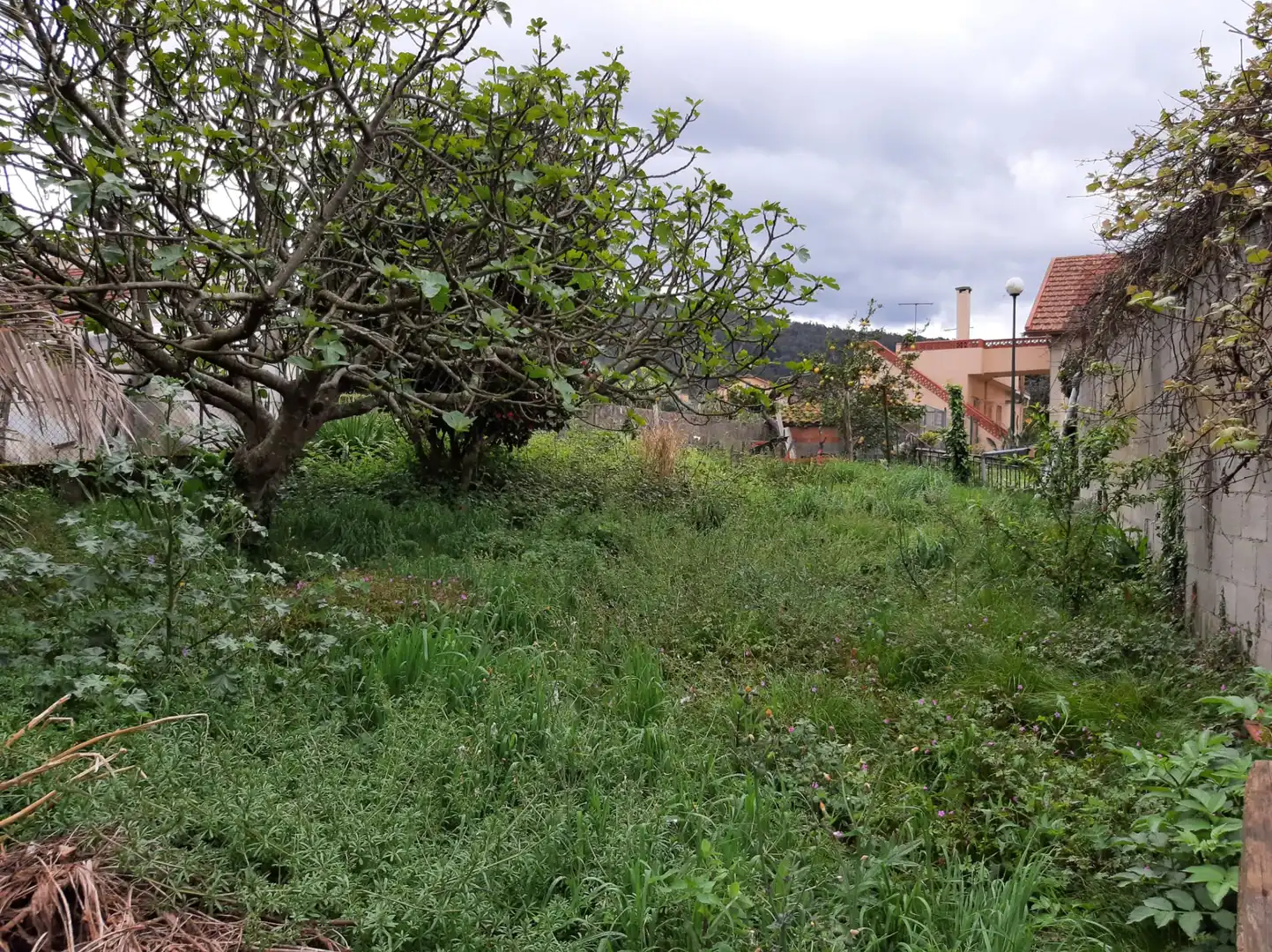 Casa en venta en Neda, imagen 5