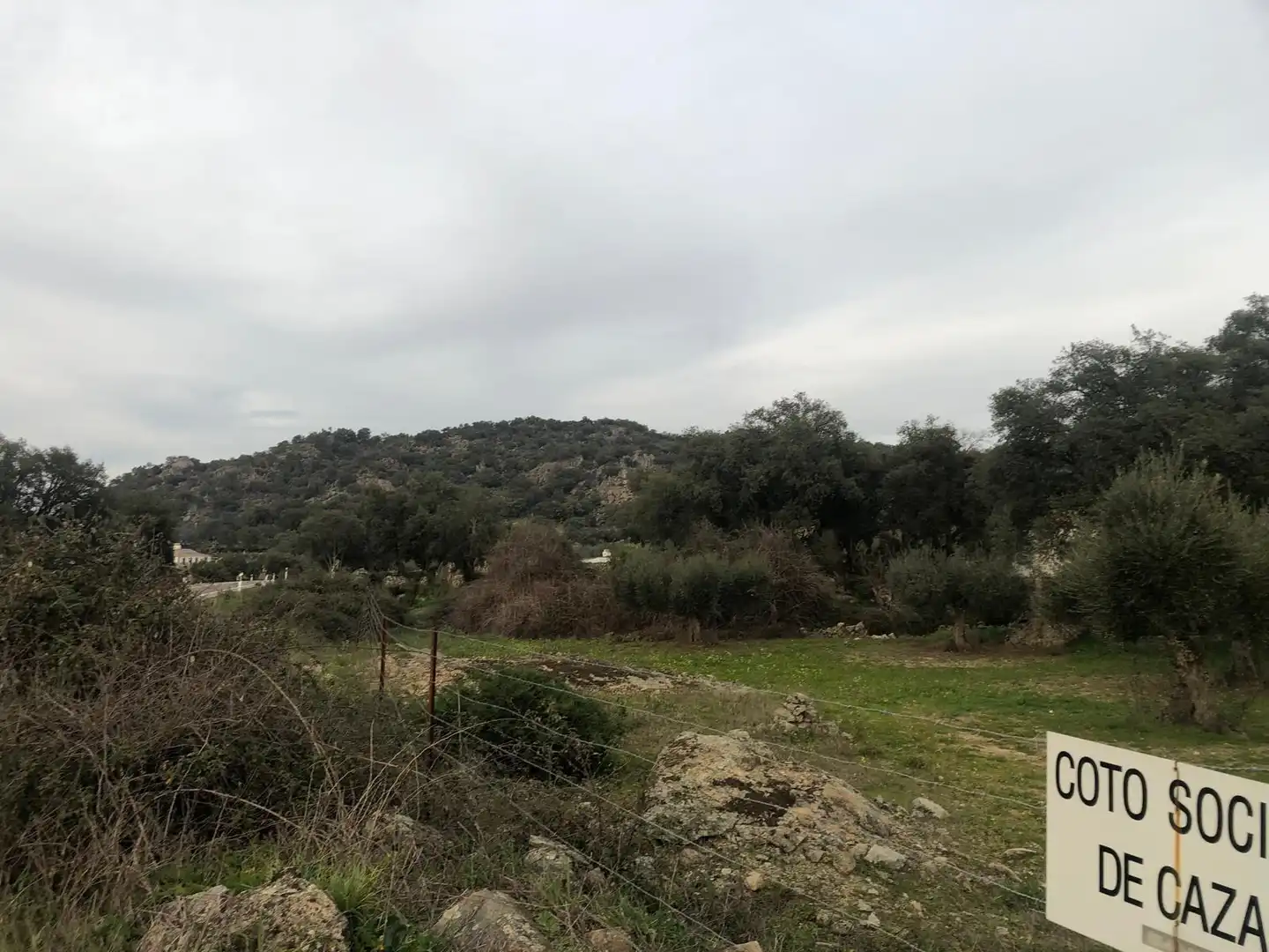 Land for sale in Montánchez