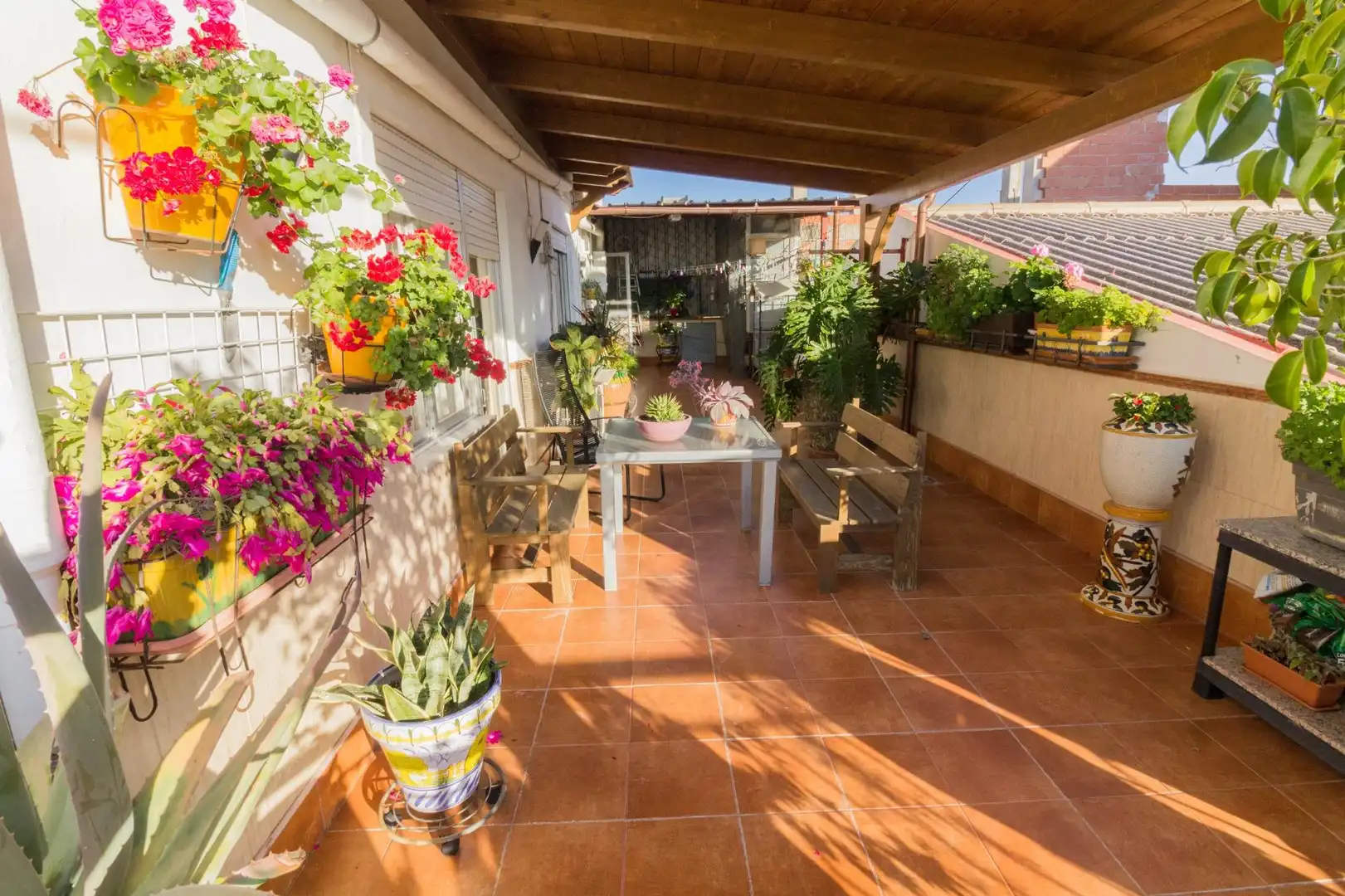 Terraza de Casa o chalet en venta en Cox con Terraza, Trastero y Balcón