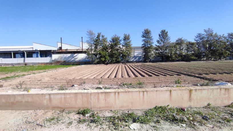 Residential for sale in  Murcia Capital