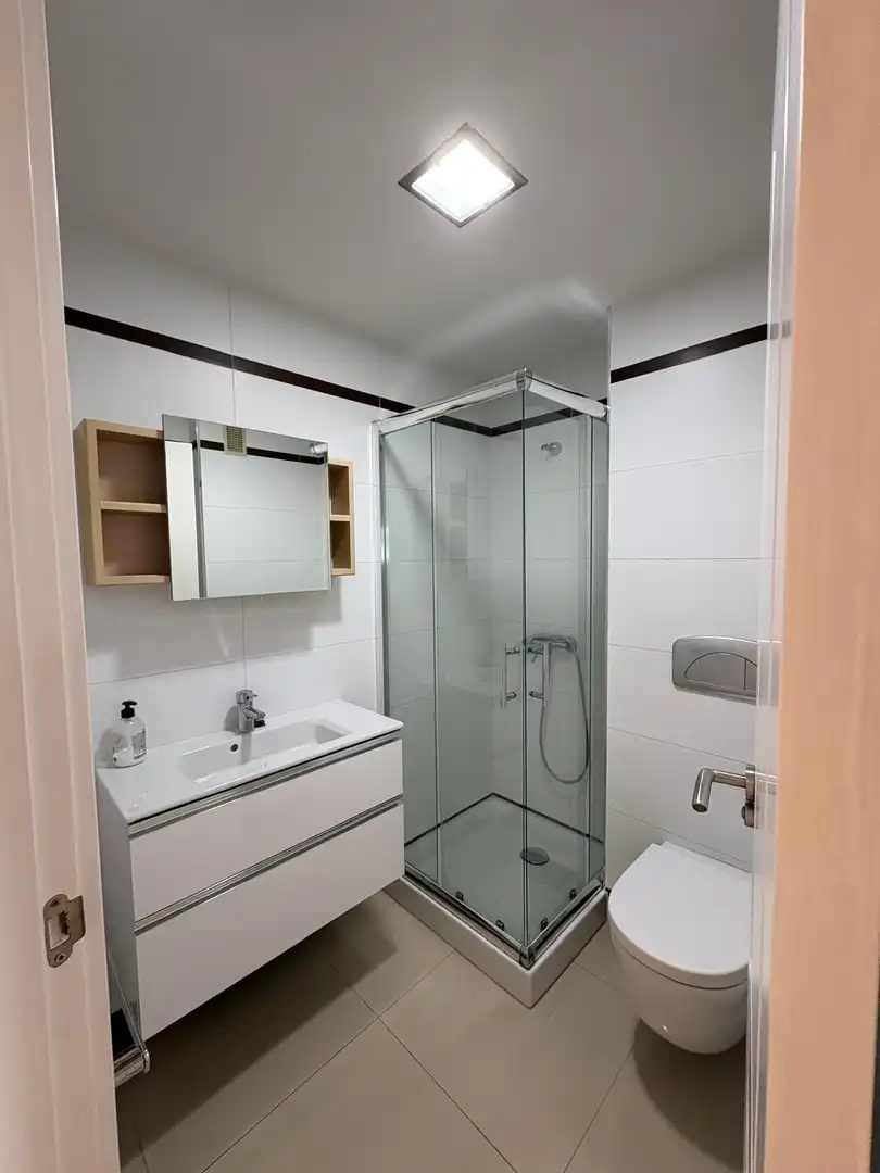Apartment with pool to rent in Botanico, imagen 11