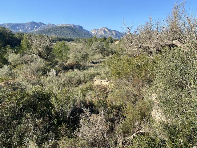 Terreno en Venta en Gabachons en Rasquera