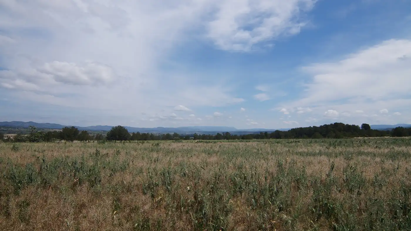 Terreno en venta en Ginestar