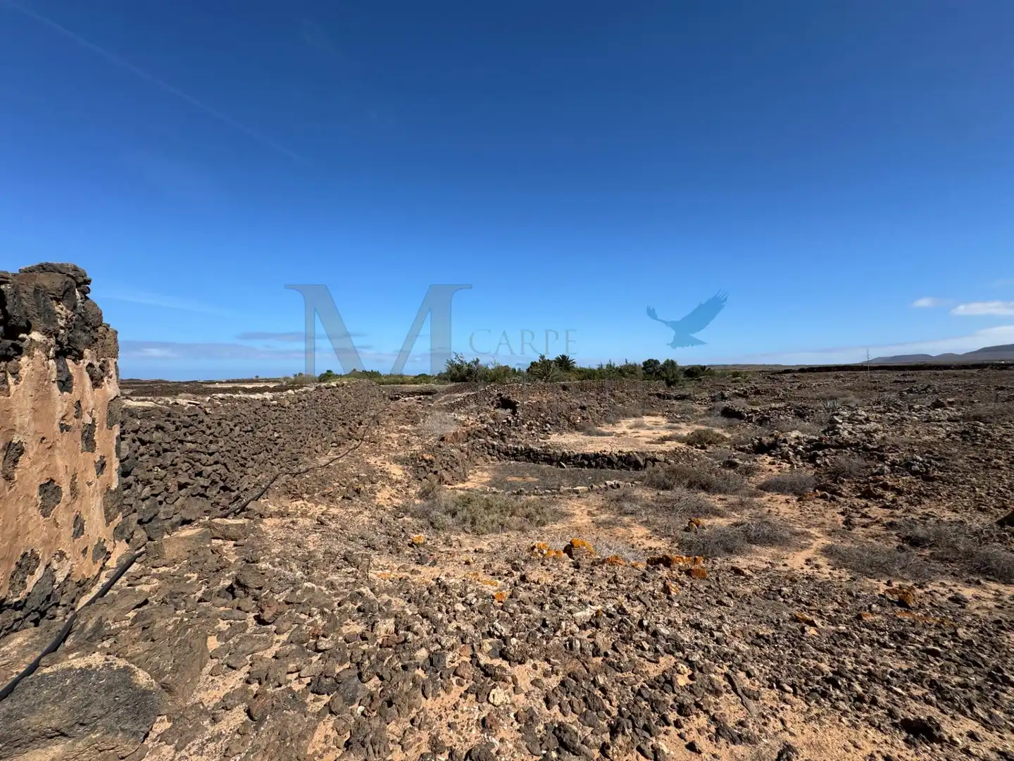 Land for sale in La Oliva
