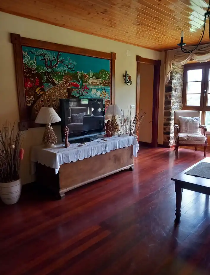 Sala de estar de Finca rústica en venta en Tineo con Jardín privado, Parquet y Terraza