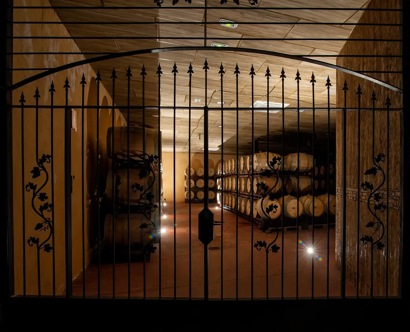 Terreno rústico en venta en Tomelloso, imagen 8