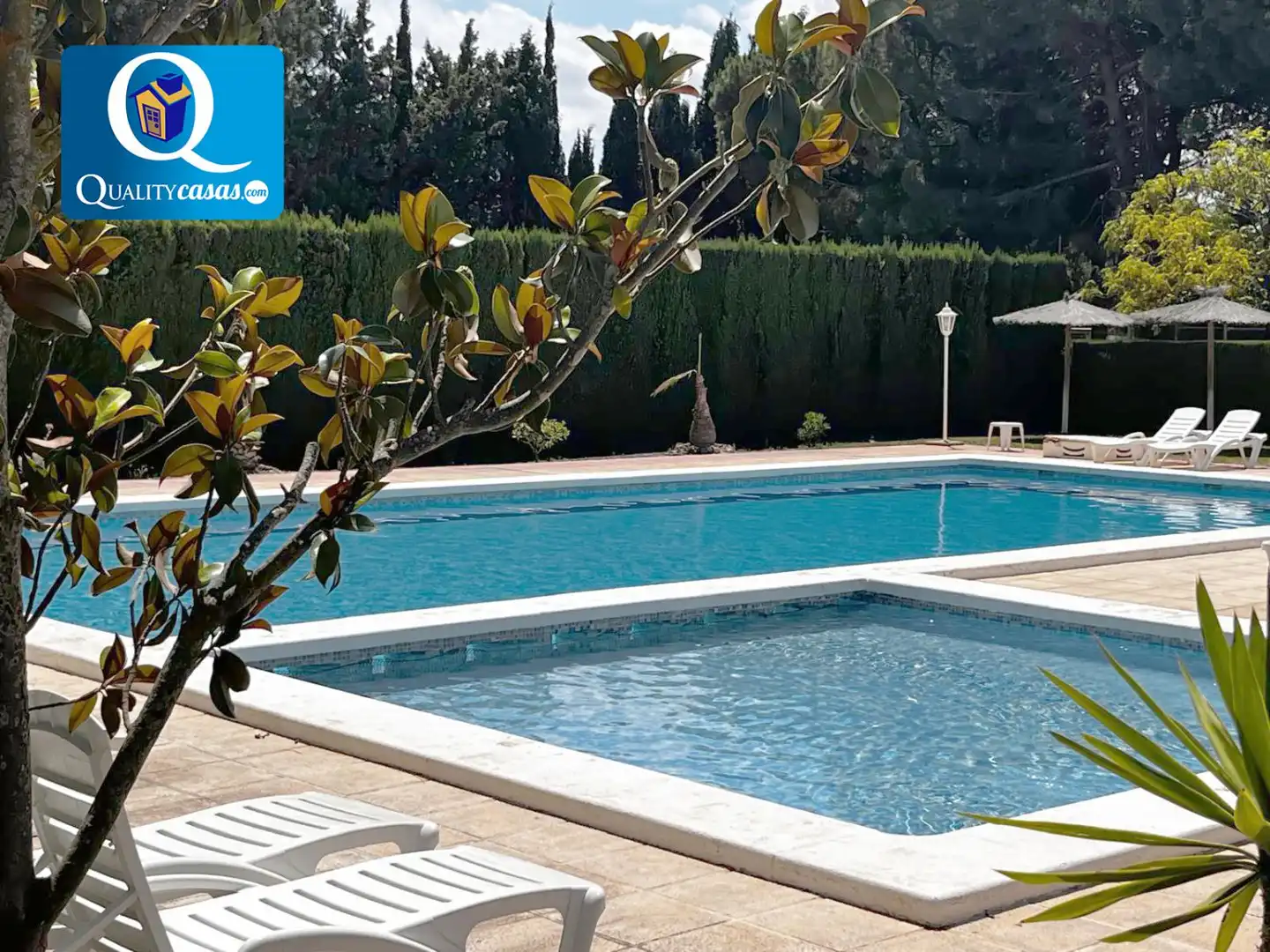 Piscina de Casa o xalet en venda en Petrer amb Aire condicionat, Calefacció i Terrassa