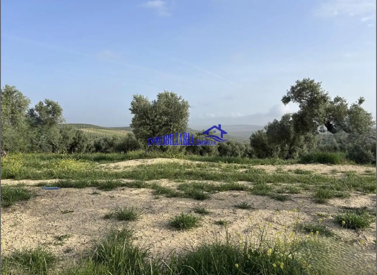 Finca rústica en venta en Bujalance