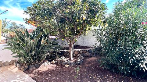 Foto 4 de Casa o xalet de lloguer a Calle Urb Corina, Centro, Santa Cruz de Tenerife