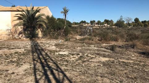 Photo 4 of Country house for sale in Peña de las Águilas, Elche / Elx