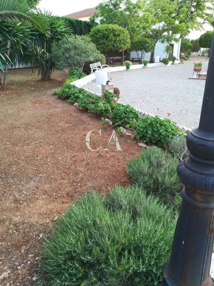 Casa amb jardí en venda a La Mina, imagen 20