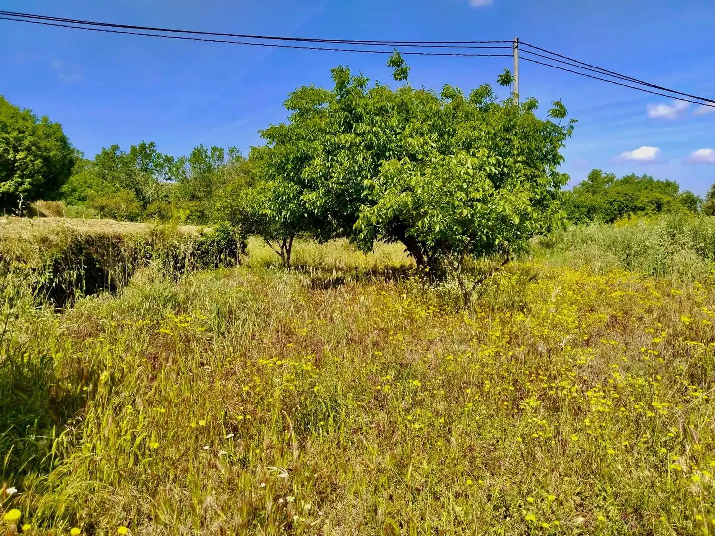 Casa o xalet en venda en Penàguila amb Terrassa, Traster i Moblat