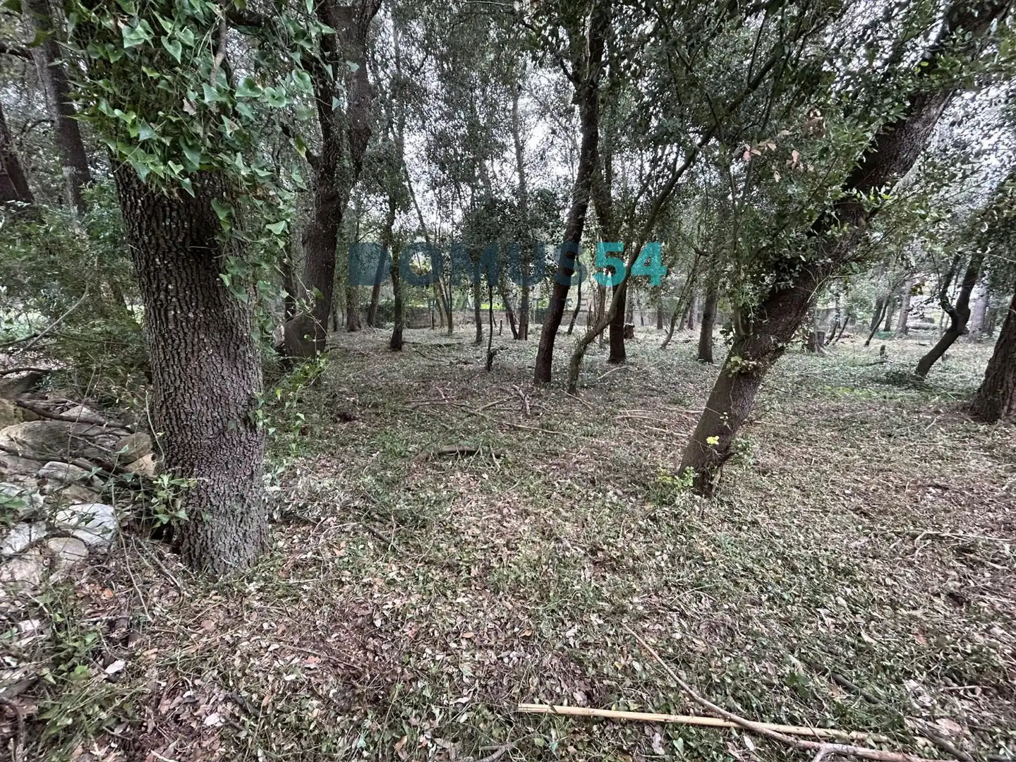 Rural land for sale in Sa Pobla, imagen 6