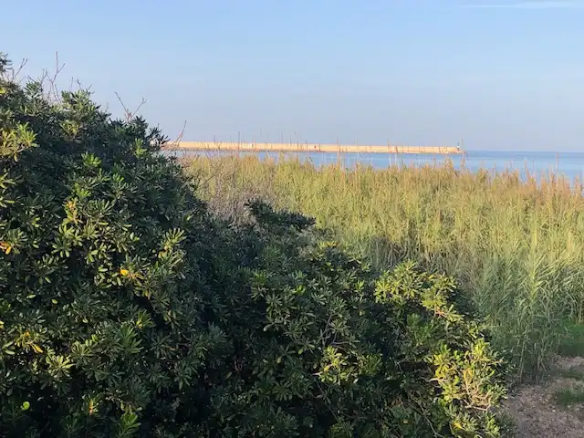 Casa o chalet en venta en Grau de Gandia - Venecia - Marenys de Rafalcaid
