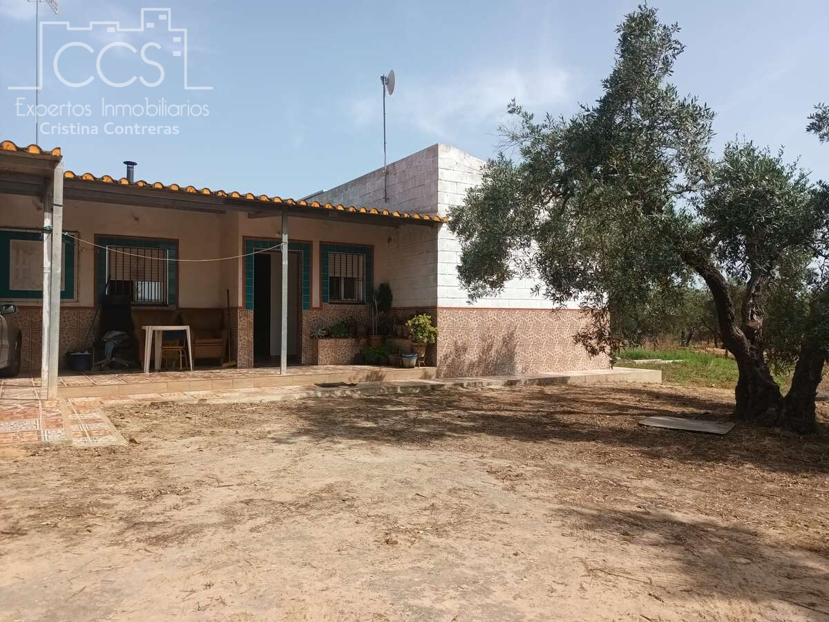 Vista exterior de Finca rústica en venta en Almonte con Jardín privado, Terraza y Trastero