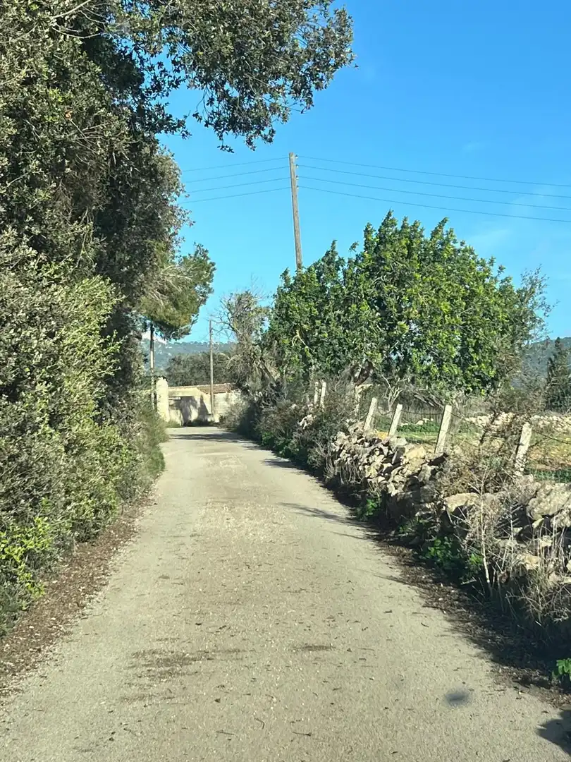 Vista exterior de Finca rústica de lloguer en Felanitx amb Calefacció i Moblat