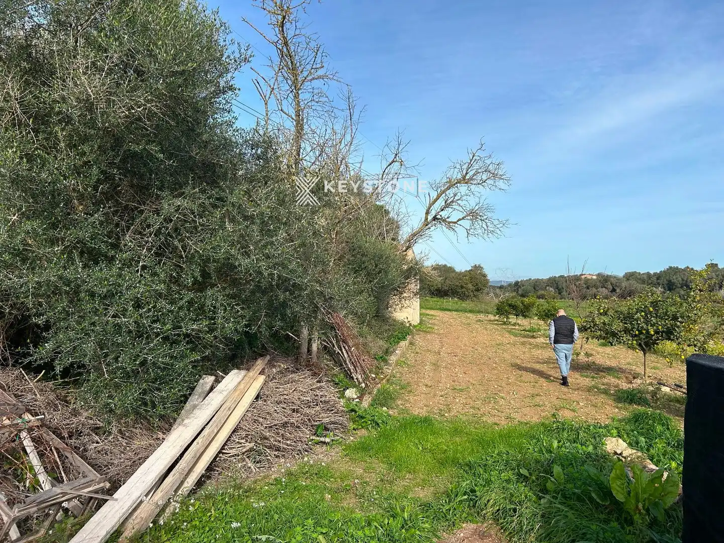 Rural land for sale in Muro, imagen 4