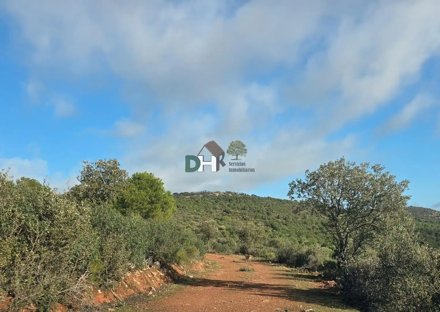 Terrenos y solares en venta en Santa María  - Pío XII, imagen 7