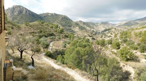 Finca rustica con casa en el termino de Orcheta y Sella!!