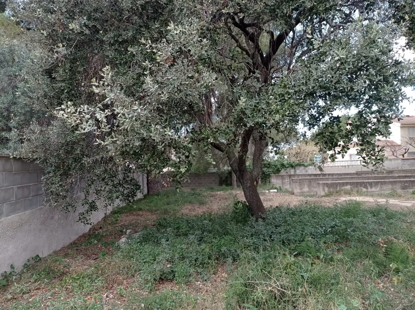 Terreno residencial en venta en El Catllar, imagen 3