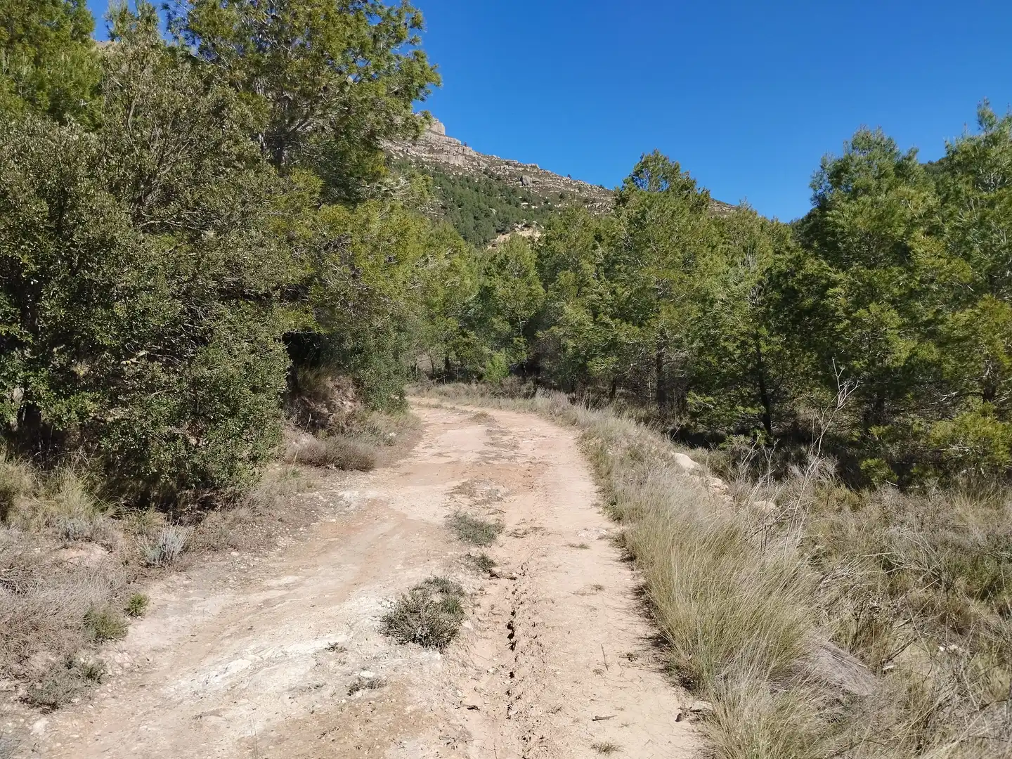 Terreno en venta en La Morera de Montsant