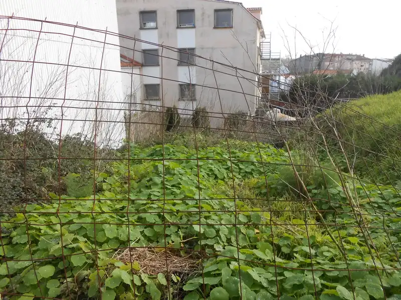 Residential for sale in AS BOUZAS, O Grove