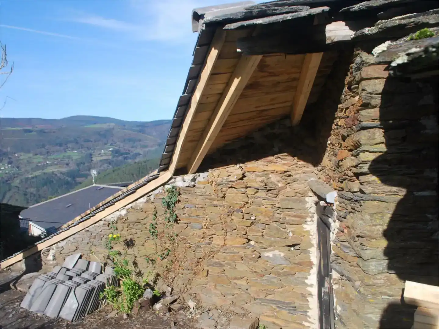 Vista exterior de Pis en venda en Illano amb Jardí privat