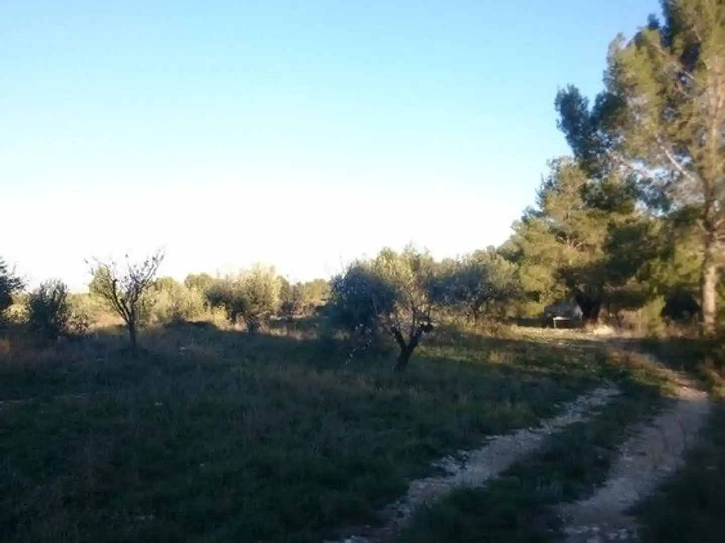 Terreni e lotti in vendita a Moratalla, imagen 2