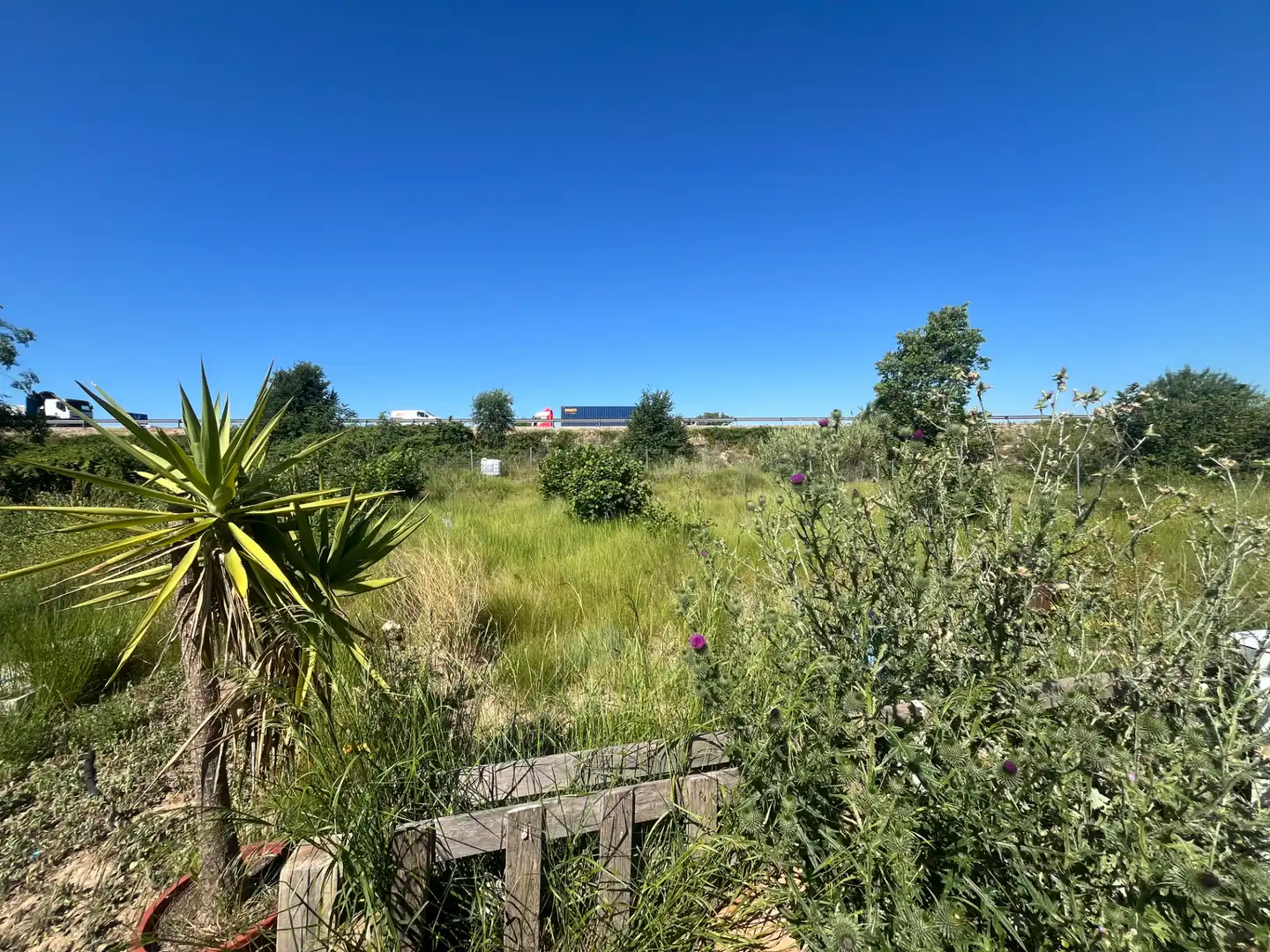 Land for sale in Constantí