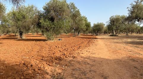 Photo 3 of Residential for sale in La Motilla - Fuente del Rey, Dos Hermanas