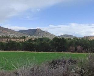 Exterior view of Land for sale in Lorca