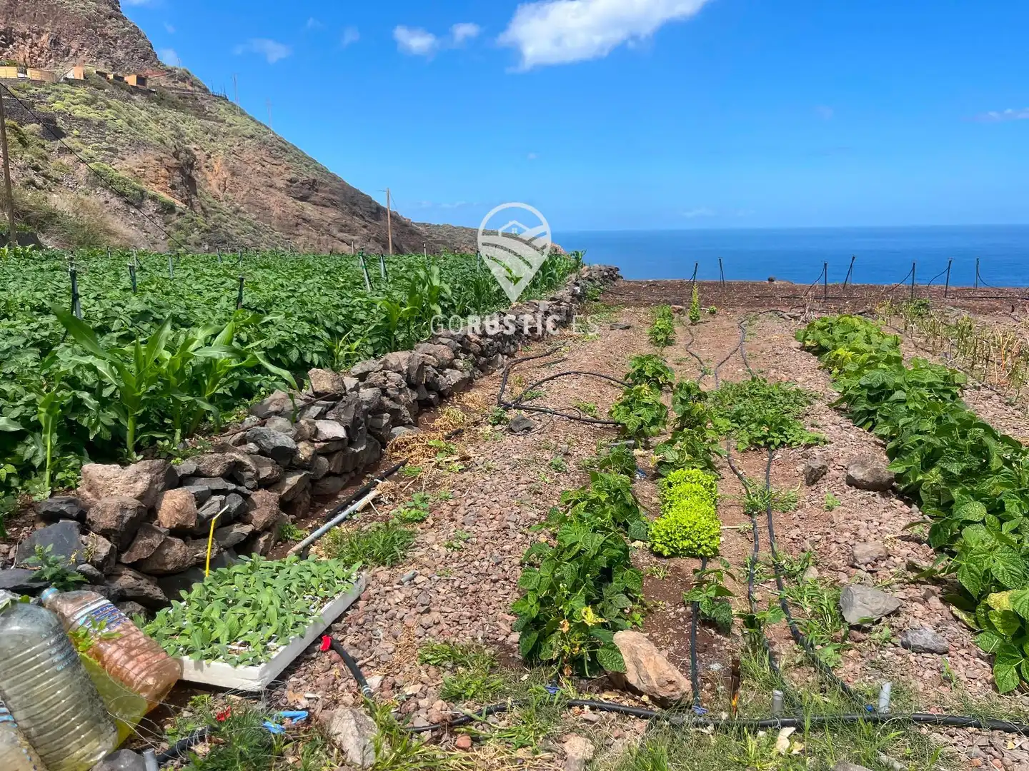 Terreno en venta en Agulo