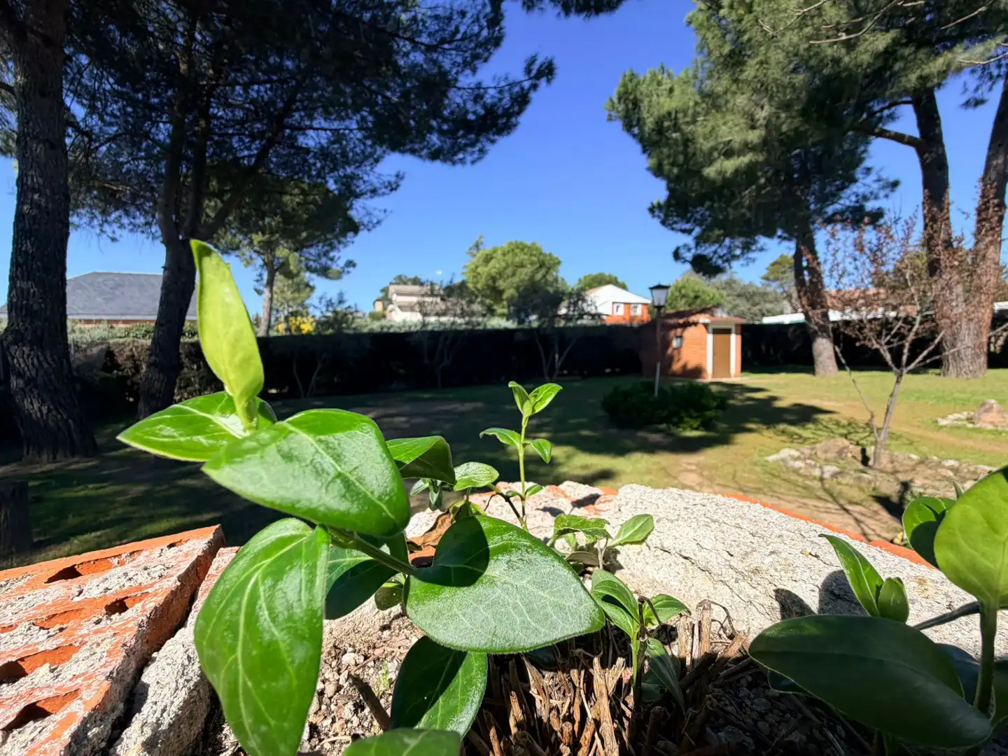 Casa o chalet en venta en Calle Río Tajo, Cerro Alarcón