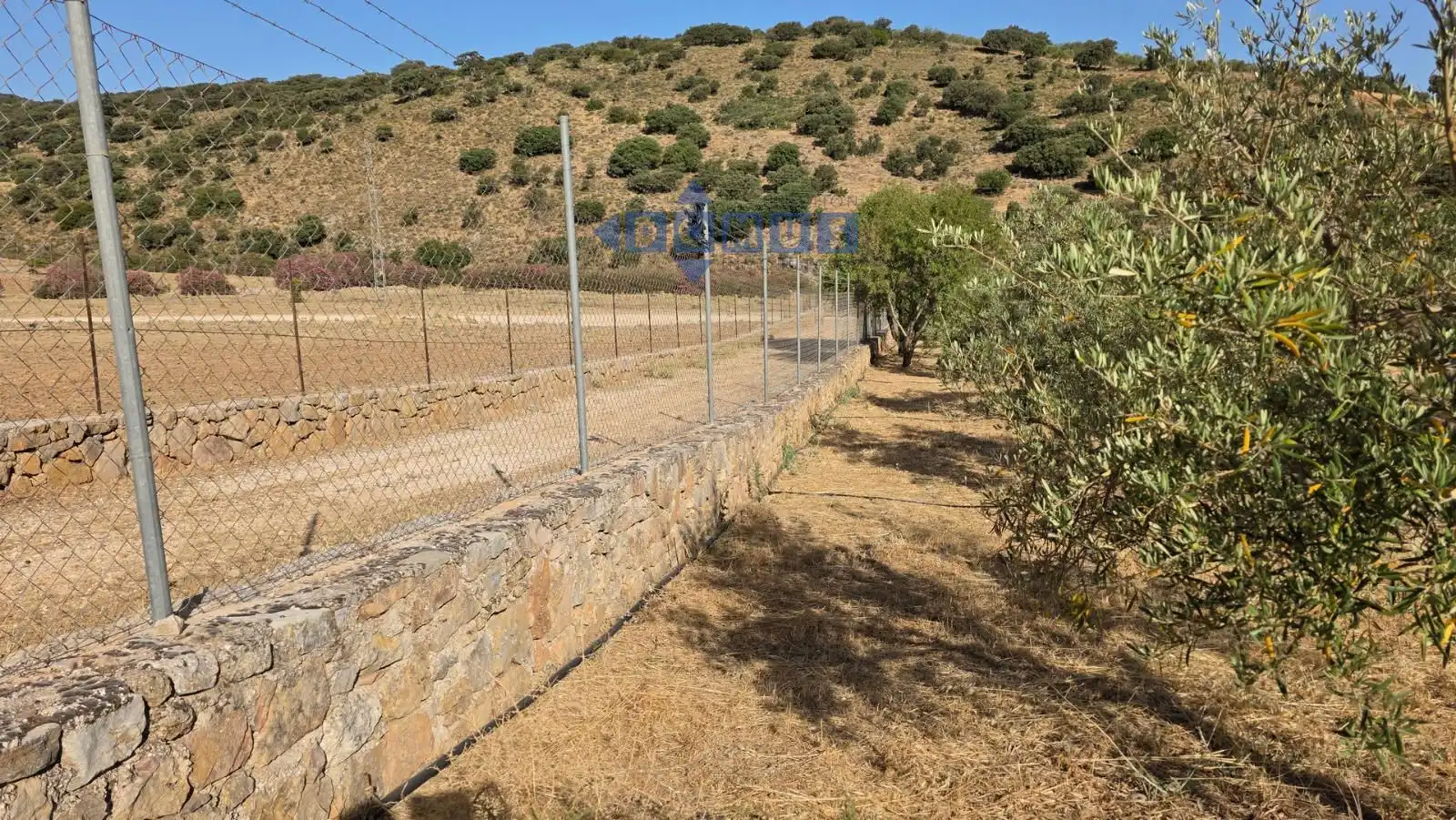 Terreno en venta en Camino Cartajima, carretera de san pedro, Partidas Sur