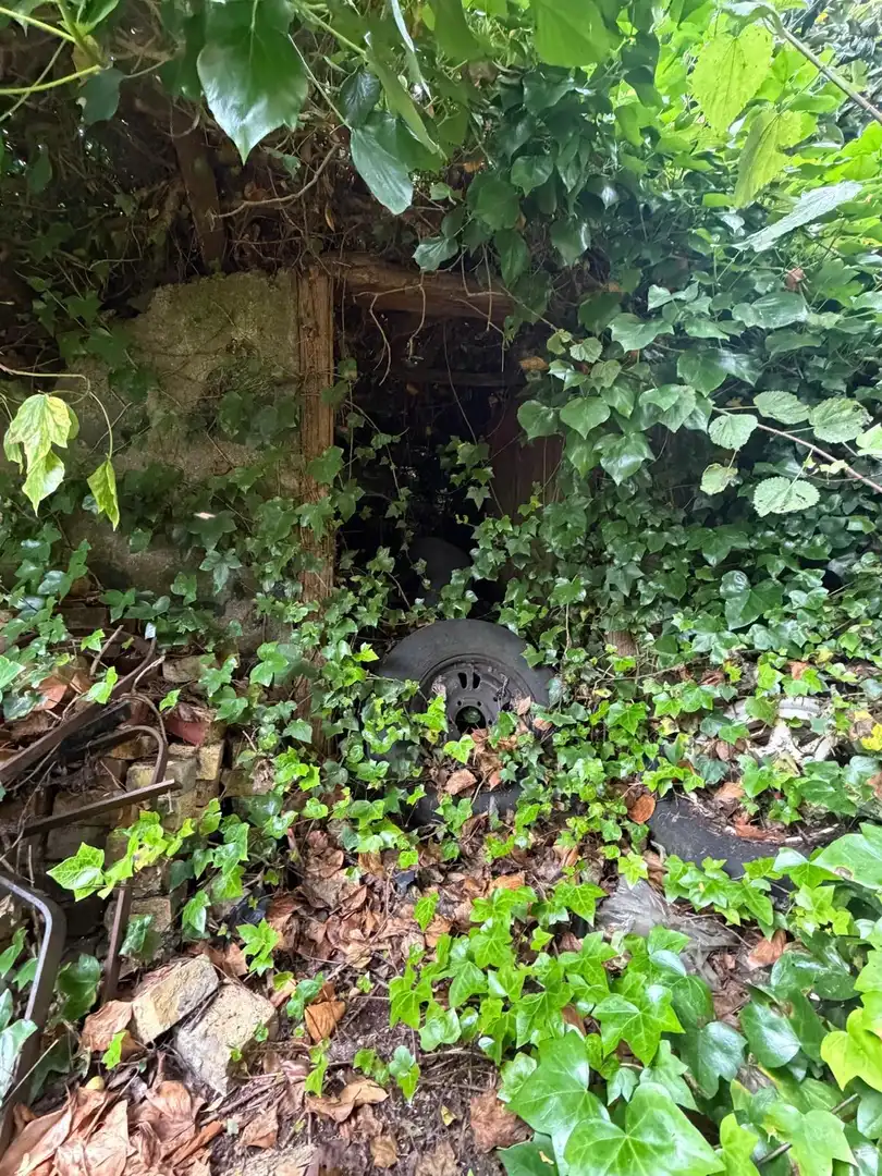Terreno rustico in vendita a El Bebedero - Pinolere - Aguamansa, imagen 31