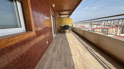 7 planta en playa del Acequión, imatge 3
