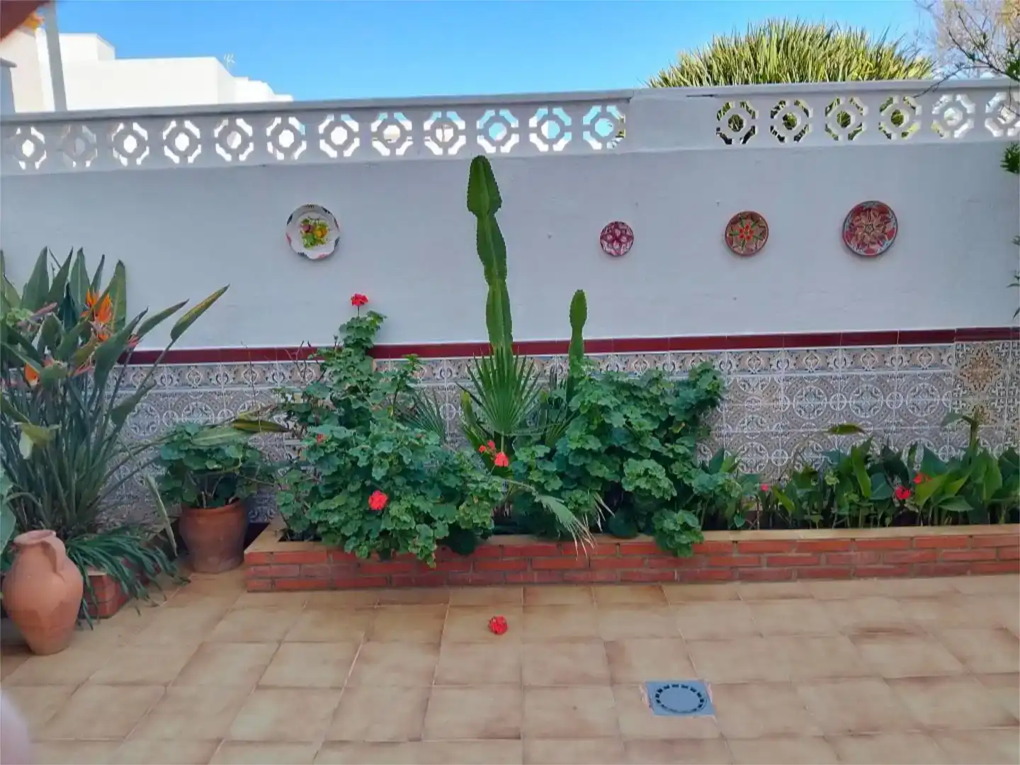 Jardí de Casa adosada en venda en Cabo de Gata amb Balcó