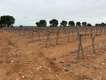 Rustikales Grundstück zum Verkauf in Camino de Tomelloso a Villarrobledo 562