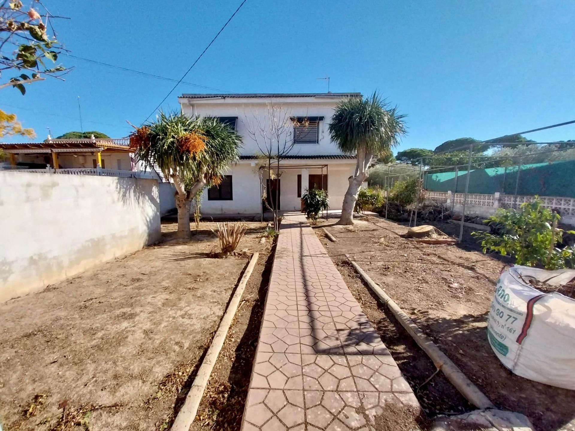 Vista exterior de Casa o xalet en venda en Guardamar del Segura amb Jardí privat i Terrassa
