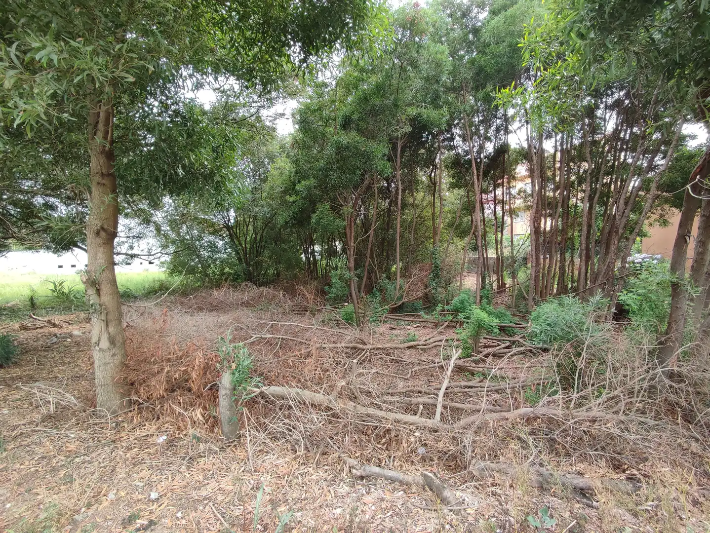 Wohnbaugrundstück zum Verkauf in Sobrán, imagen 13