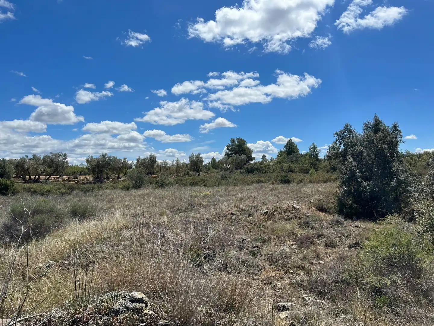Terreni e lotti in vendita a Arens de Lledó, imagen 5