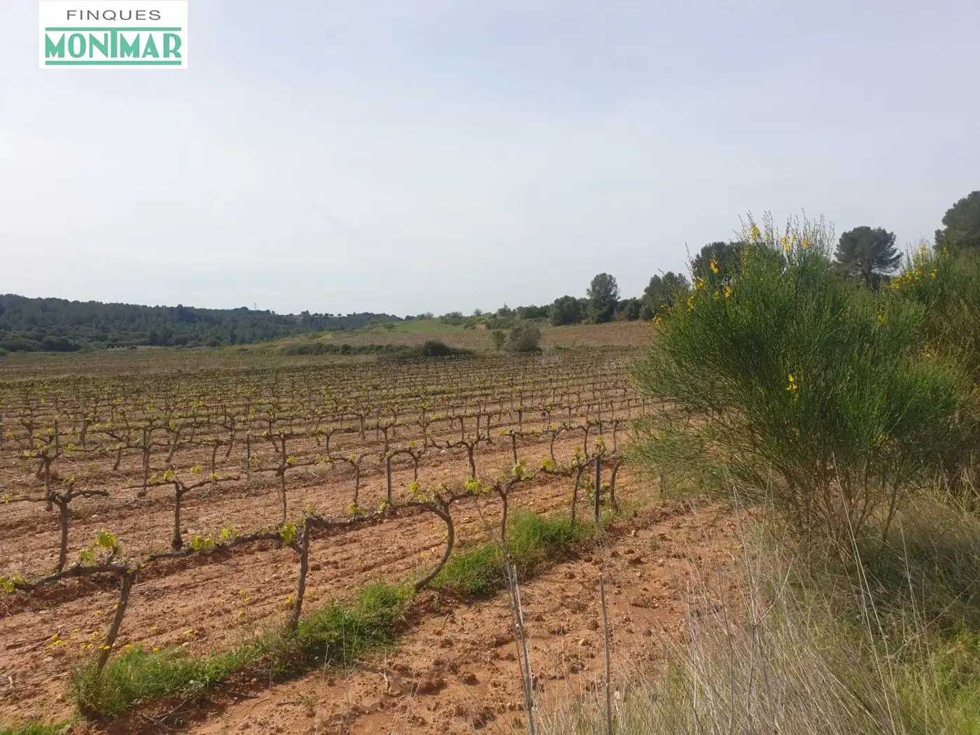 Country homes for sale in Vilabella
