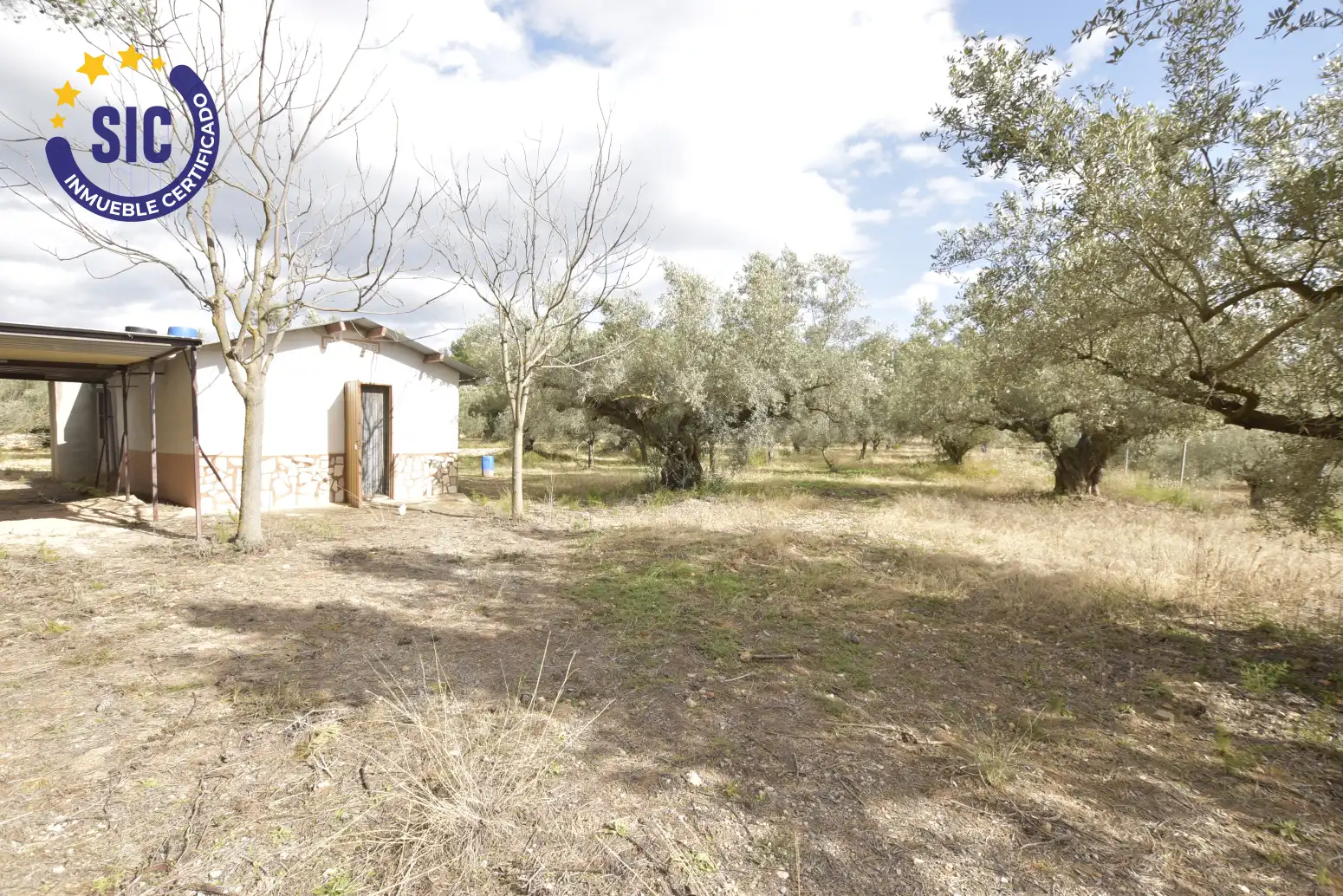 Land for sale in Jérica